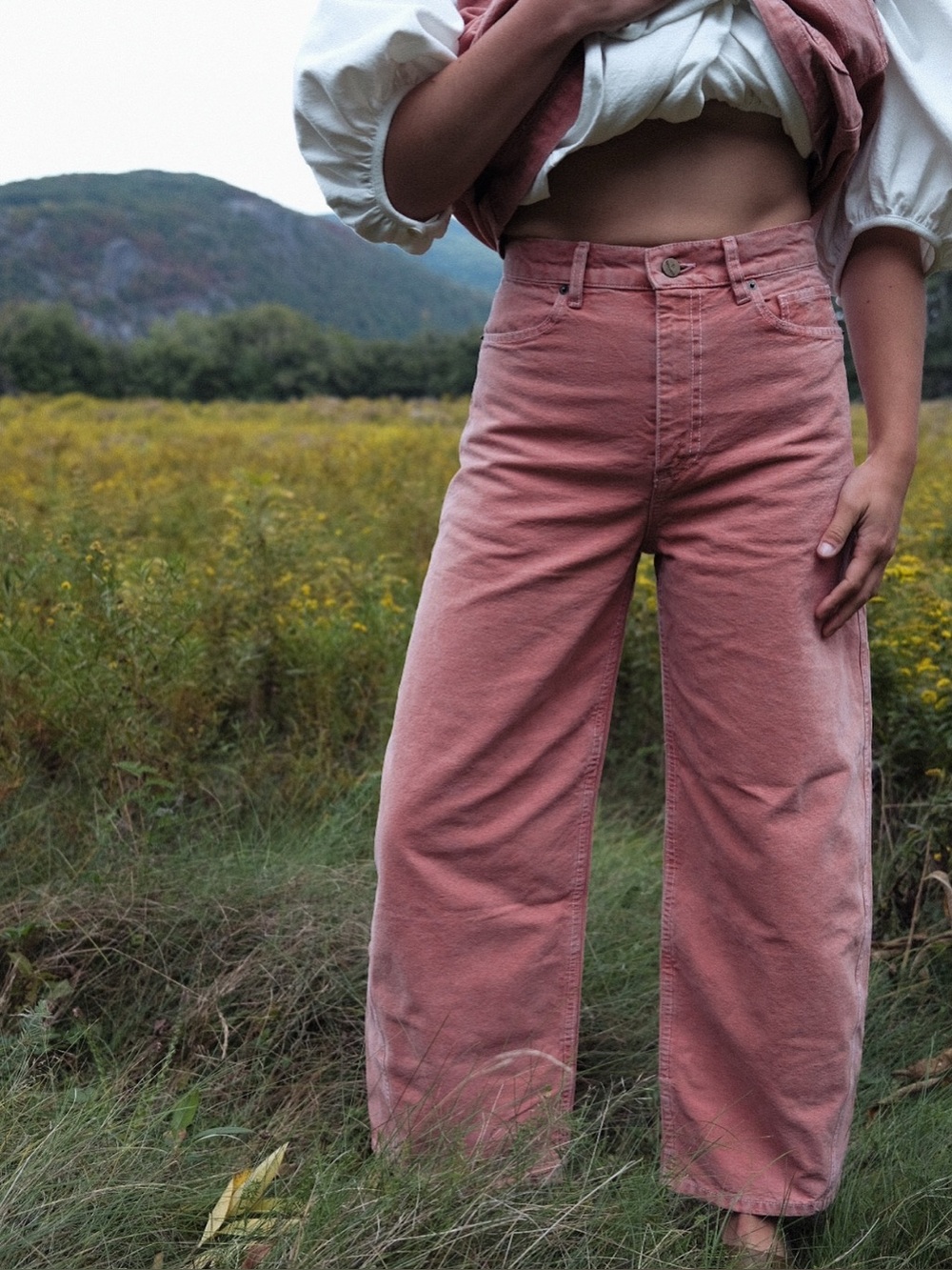RUDY JUDE The Roper Terracotta Pants Barrel Leg